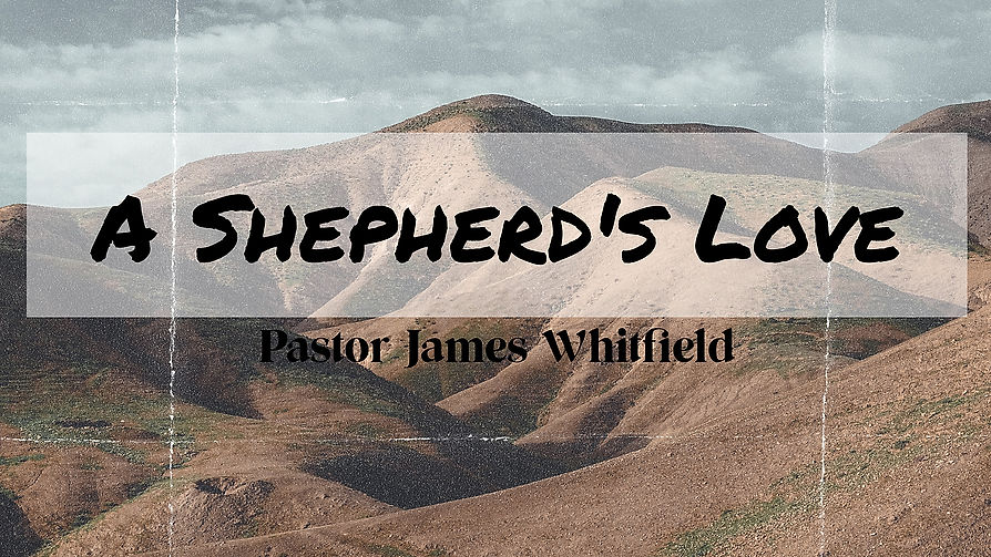A Shepherds Love